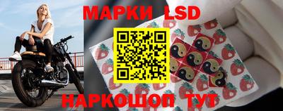 СК Владимир
