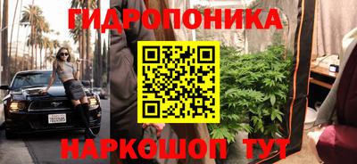 соль ск Владивосток