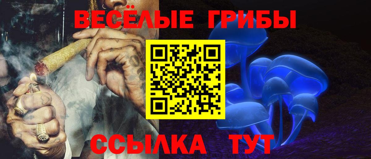 Псилоцибиновые грибы Psilocybe Черкесск