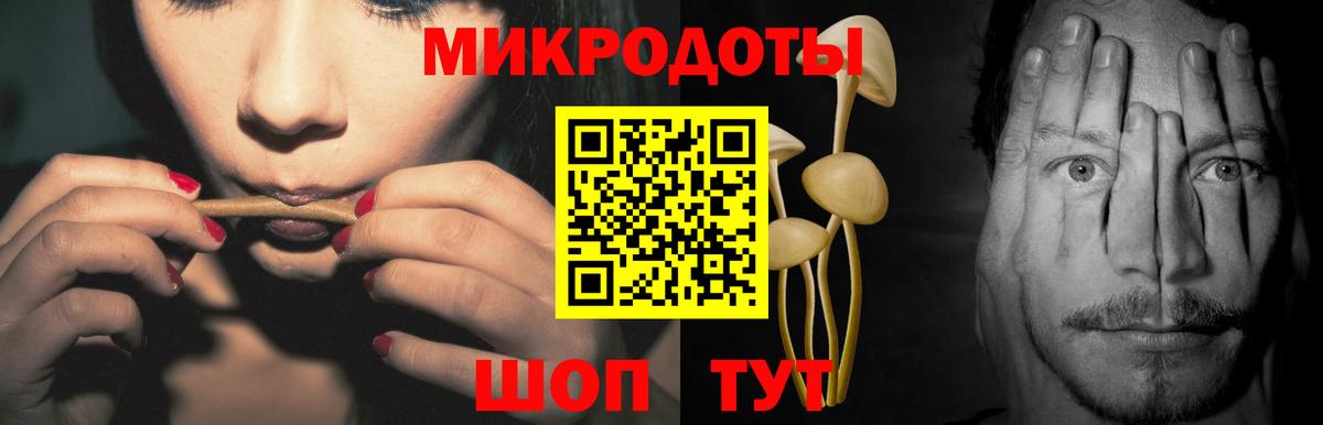 Черкесск  цены   Вход с VPN  Псилоцибиновые грибы Cubensis 